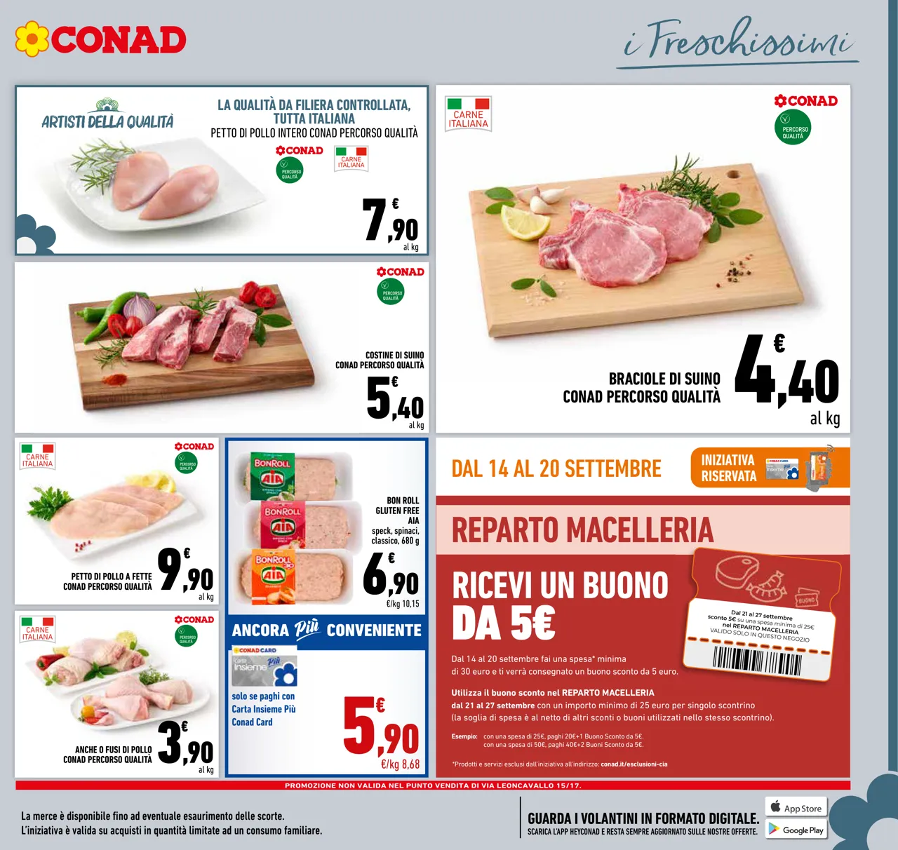 Pagina 11