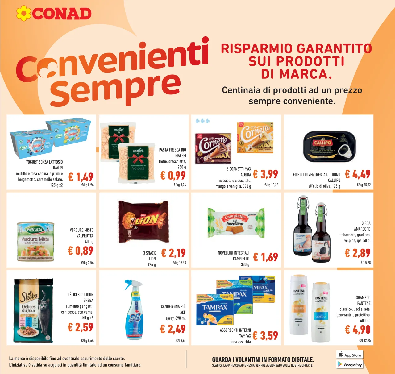 Pagina 11