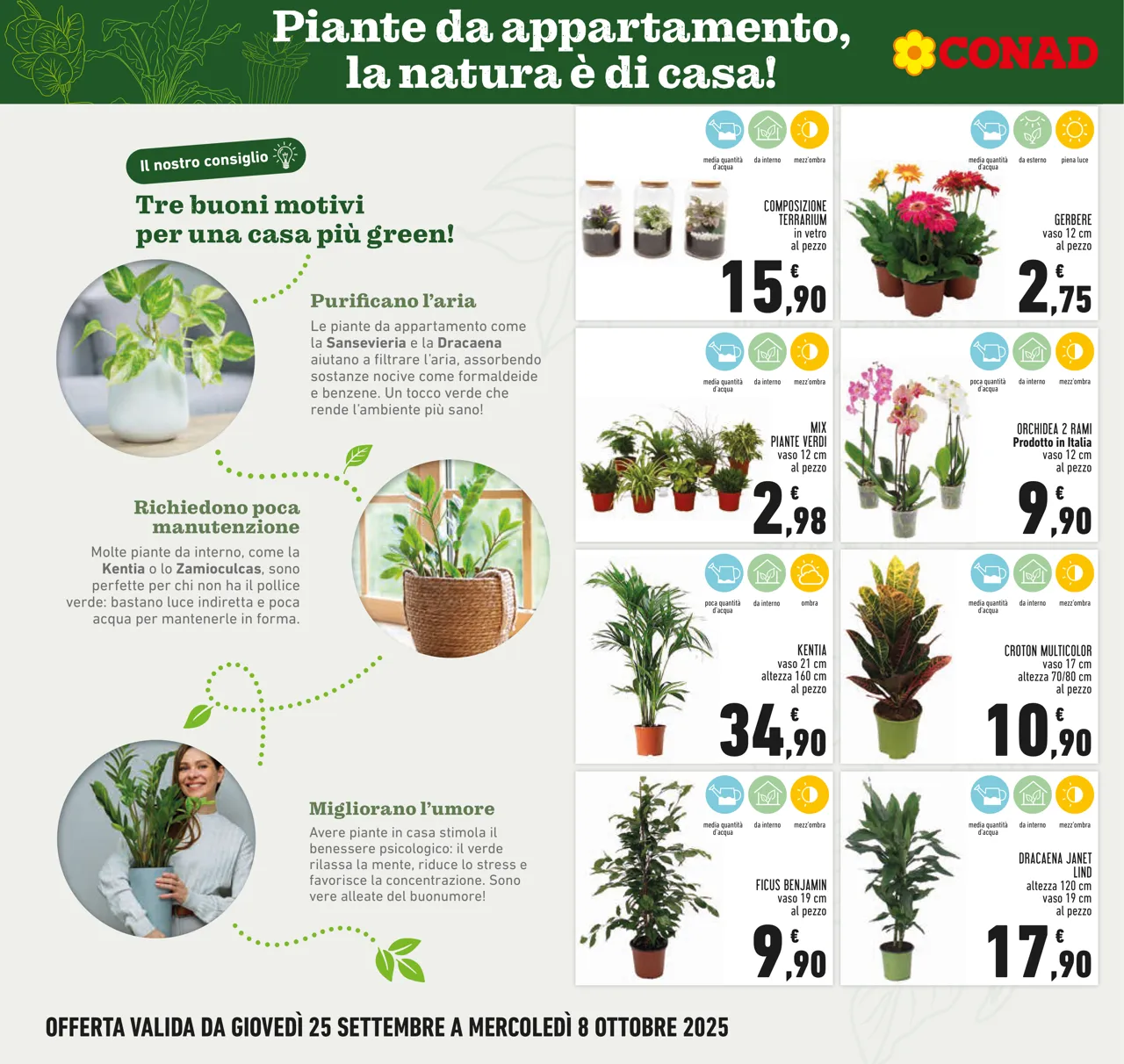 Pagina 6