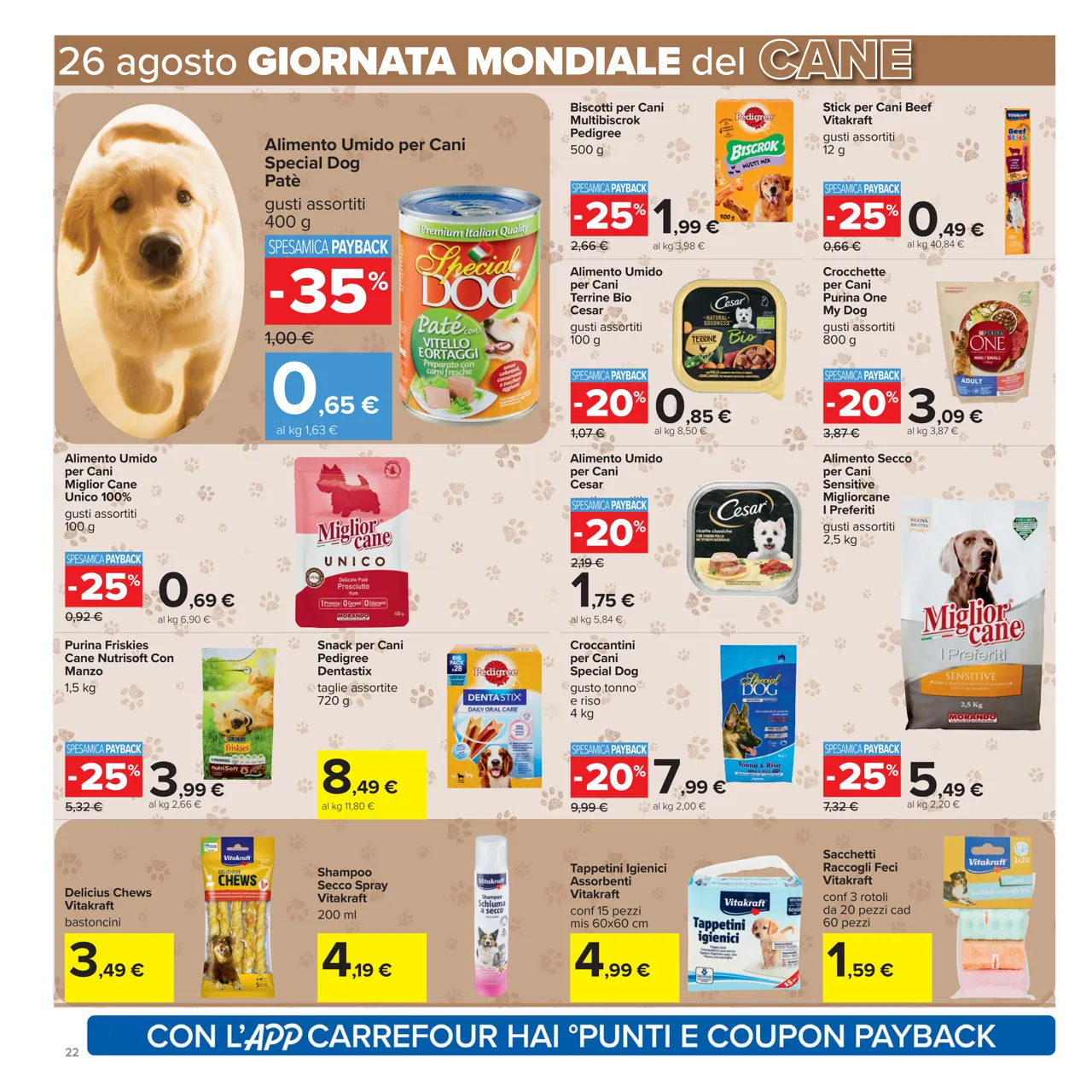 Pagina 22