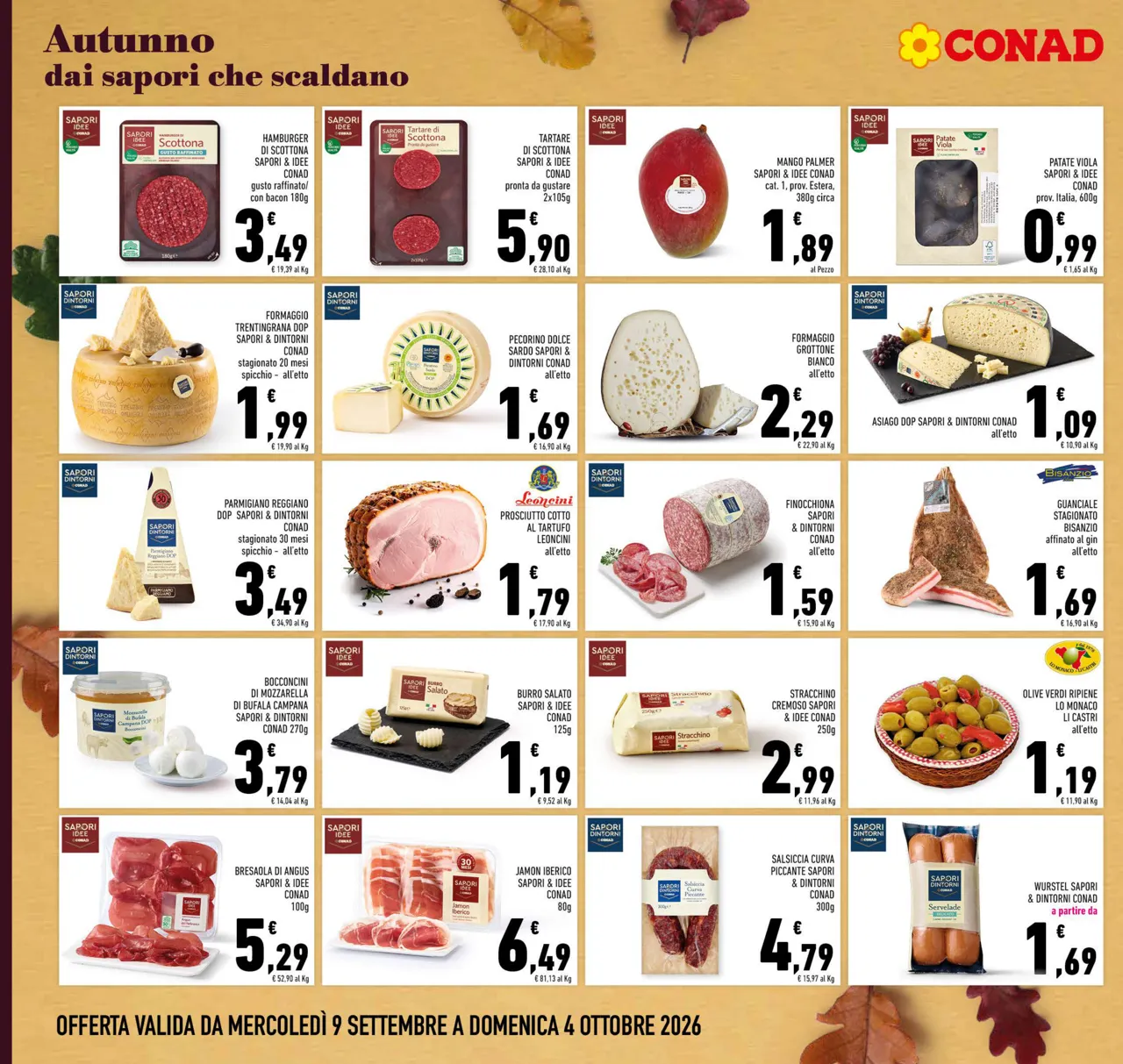 Pagina 12