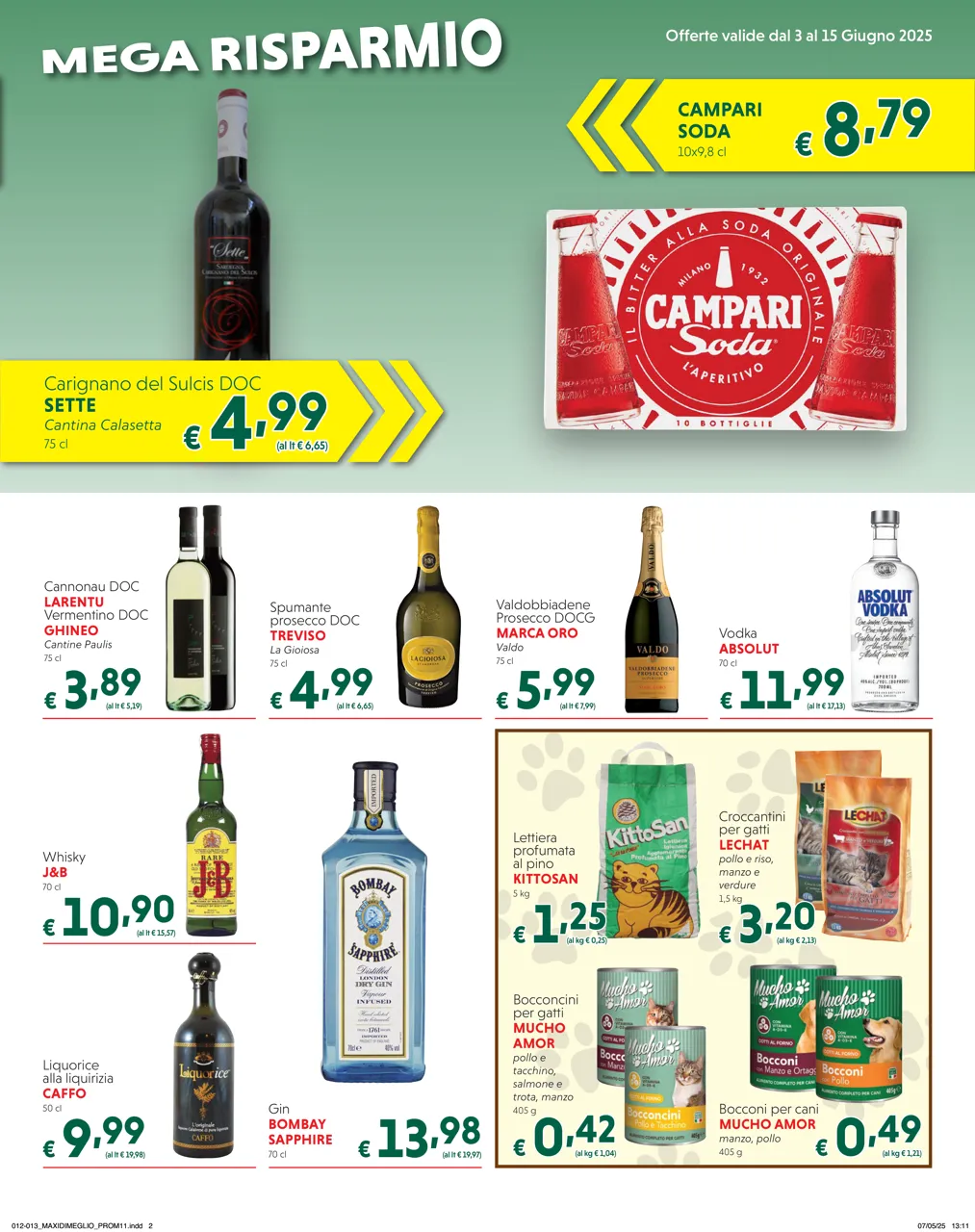 Pagina 13
