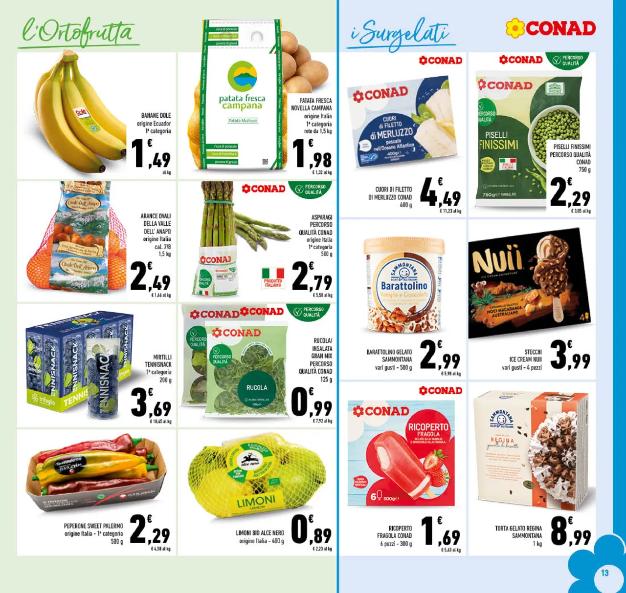Pagina 13