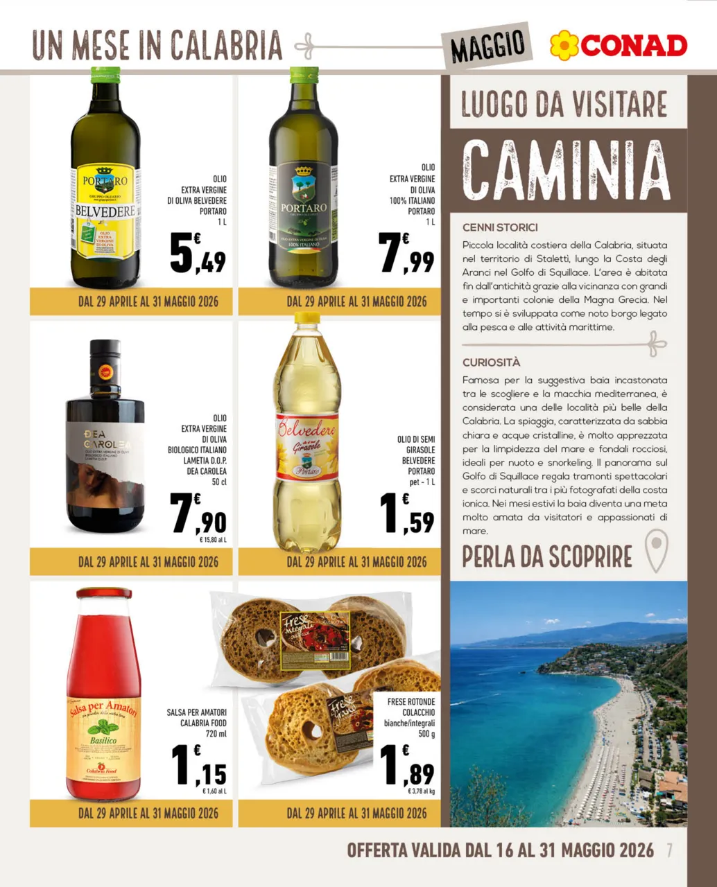 Pagina 7
