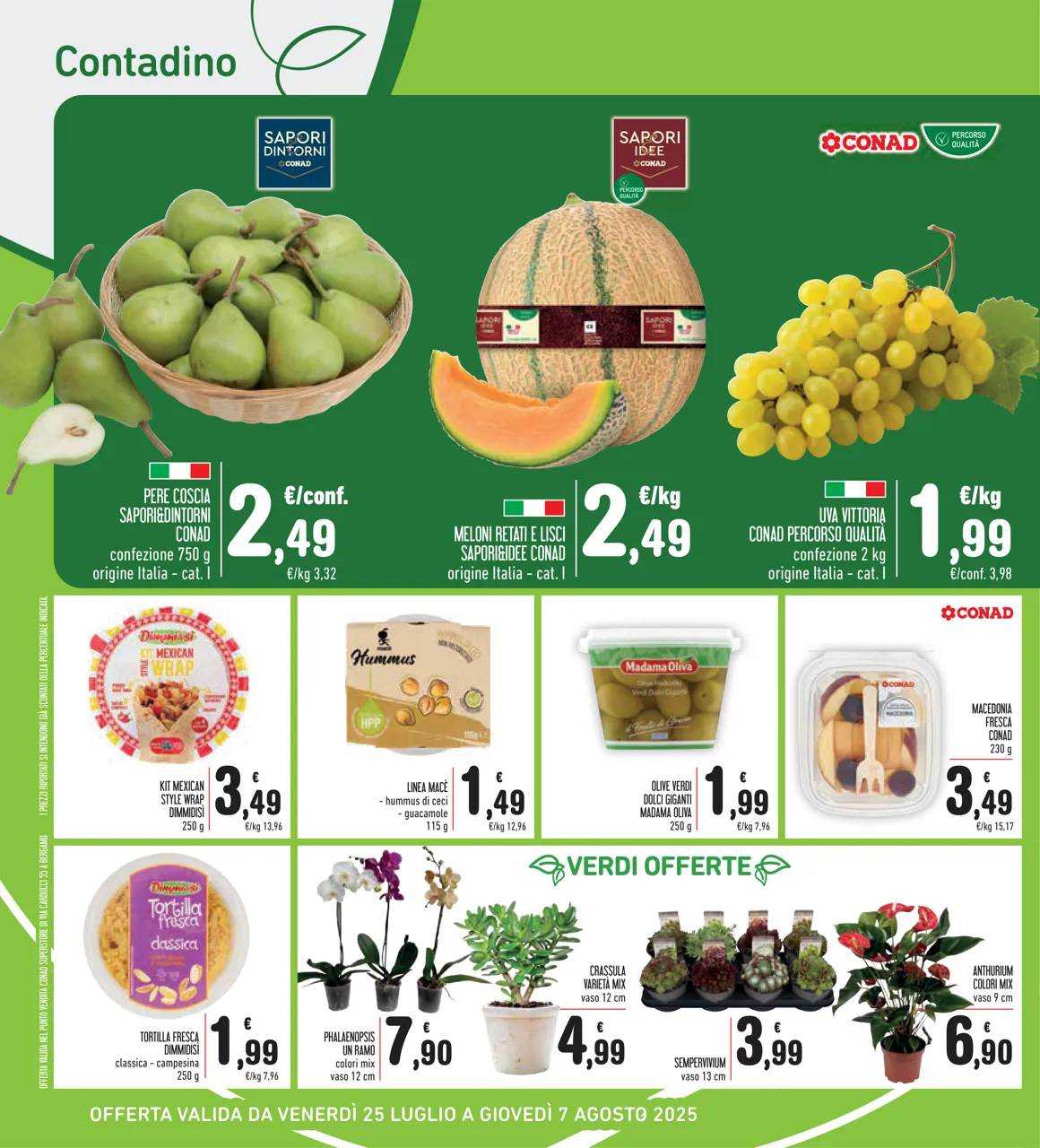 Pagina 6
