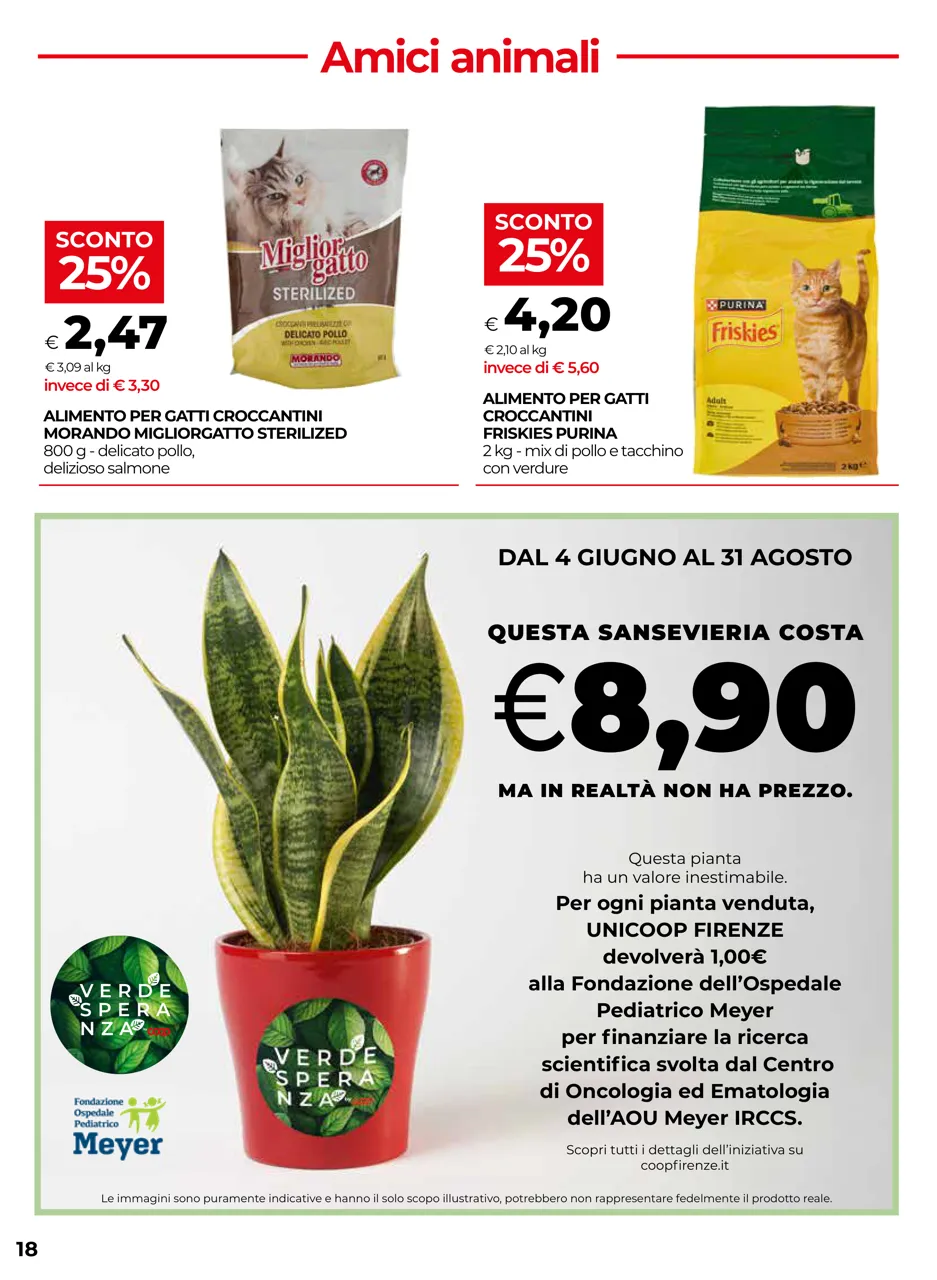 Pagina 18