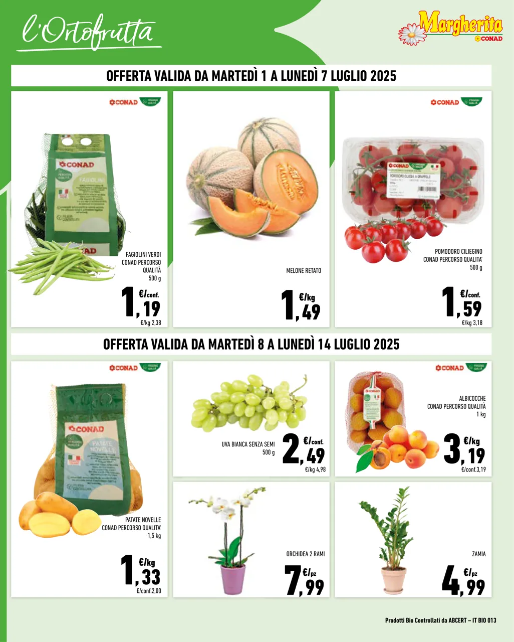 Pagina 2