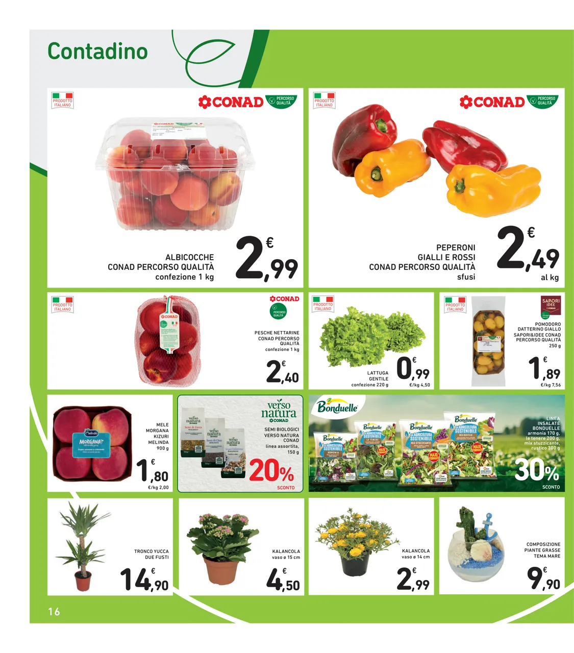 Pagina 16