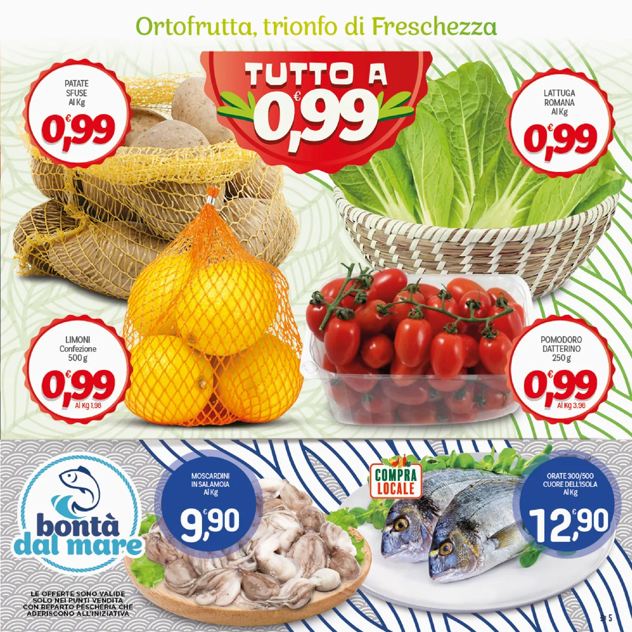 Pagina 5