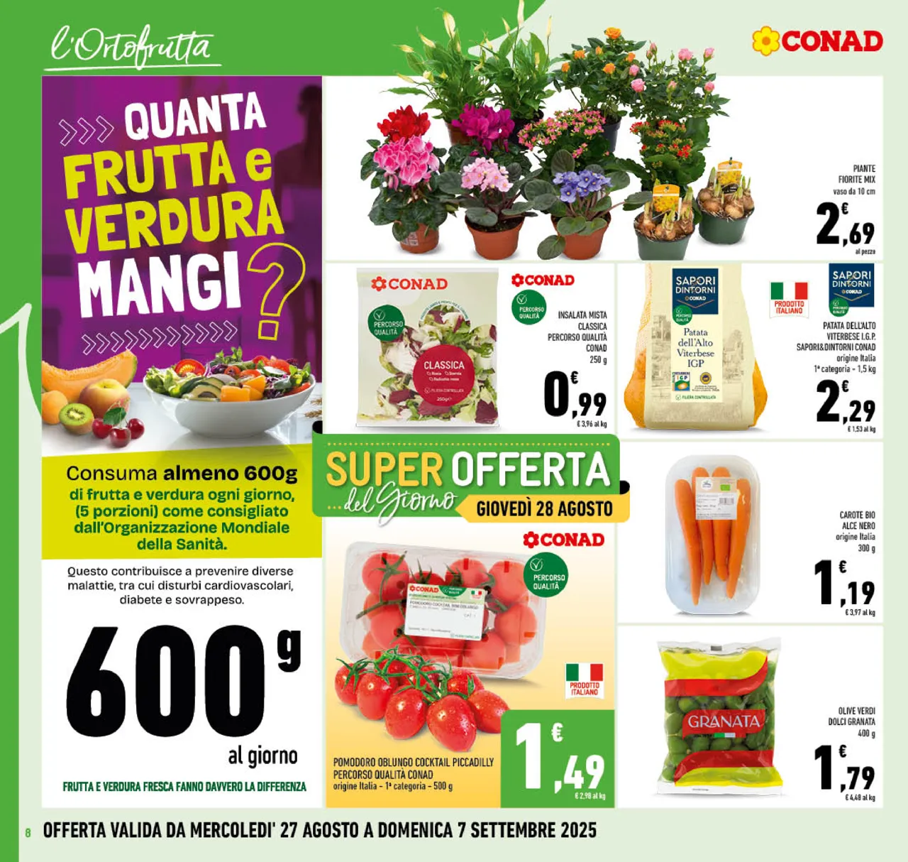 Pagina 8