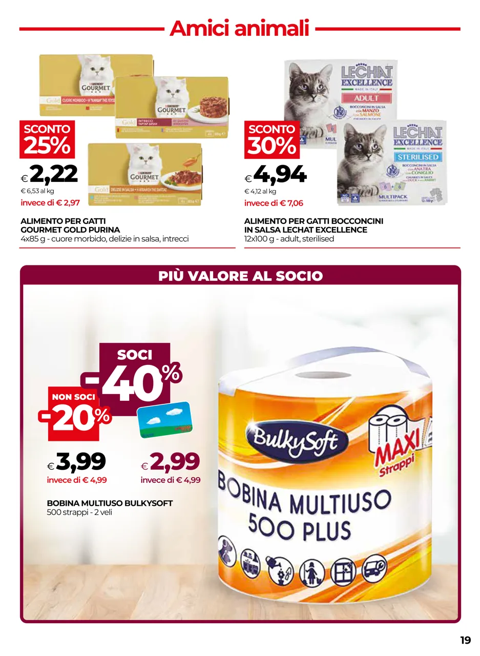 Pagina 19