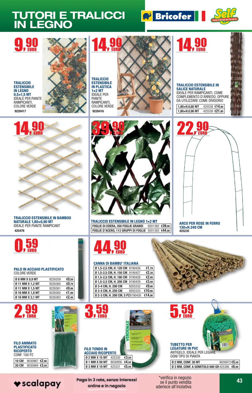 Pagina 43
