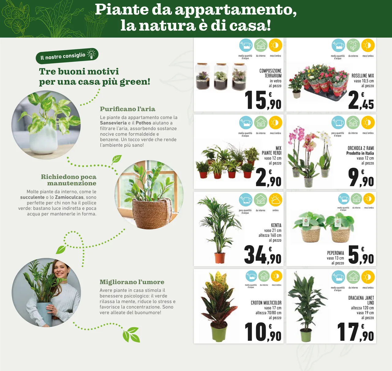 Pagina 7
