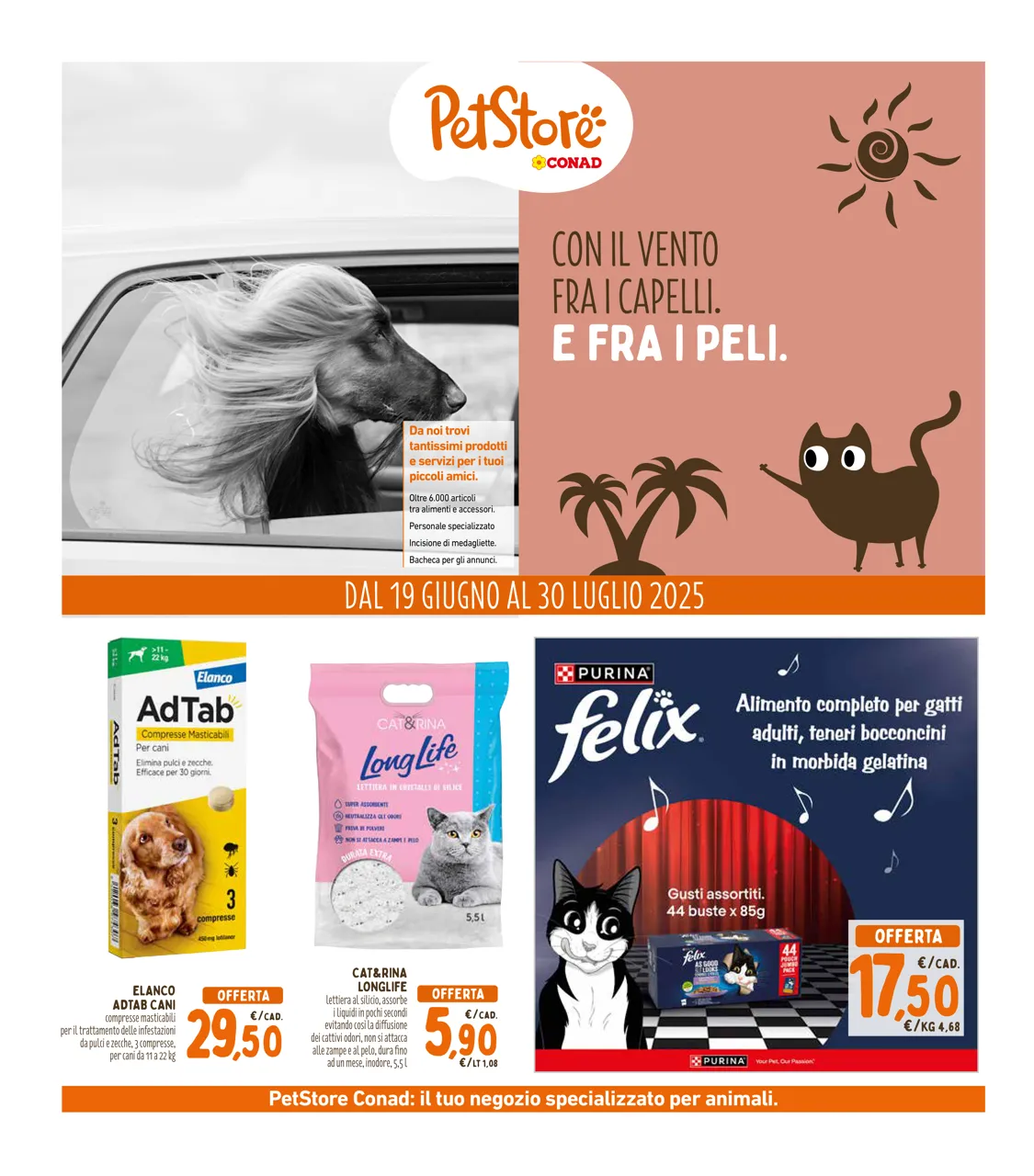 Pagina 40