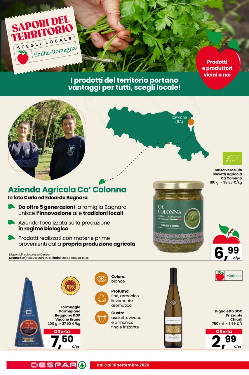 Pagina 8