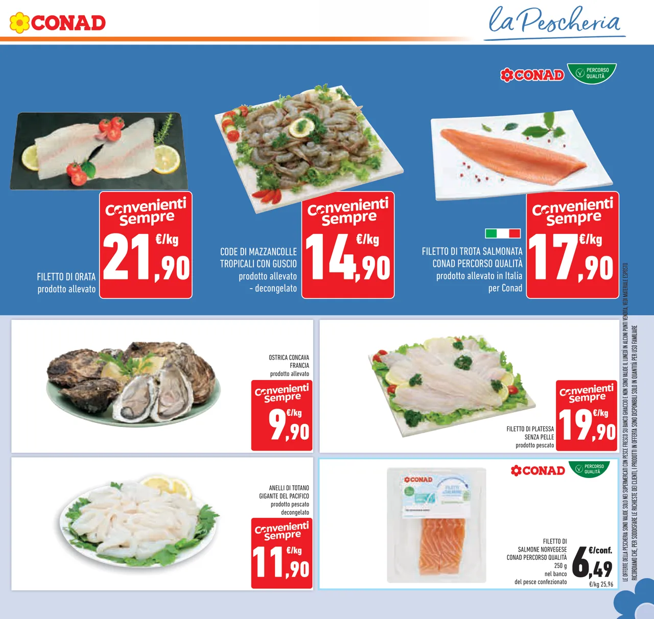 Pagina 31