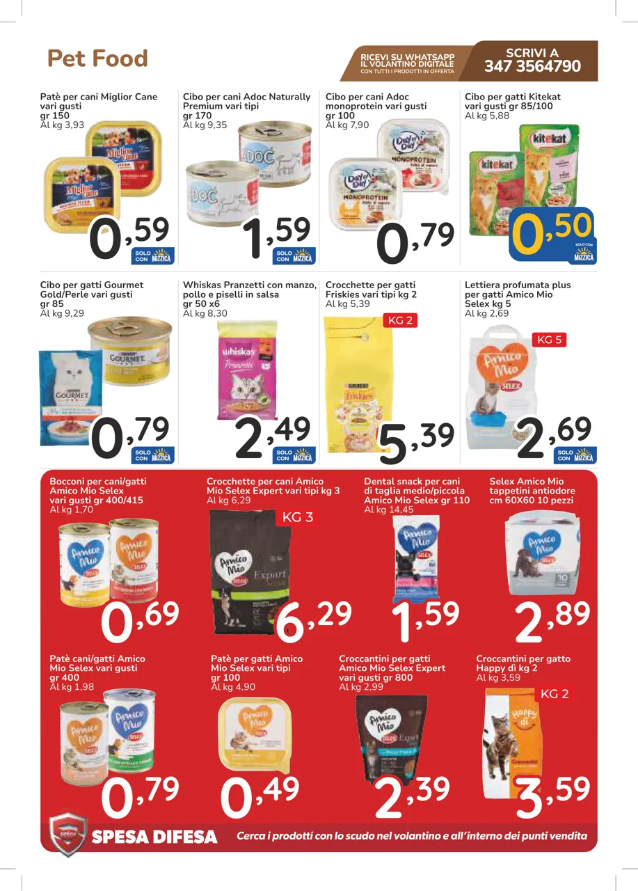 Pagina 31