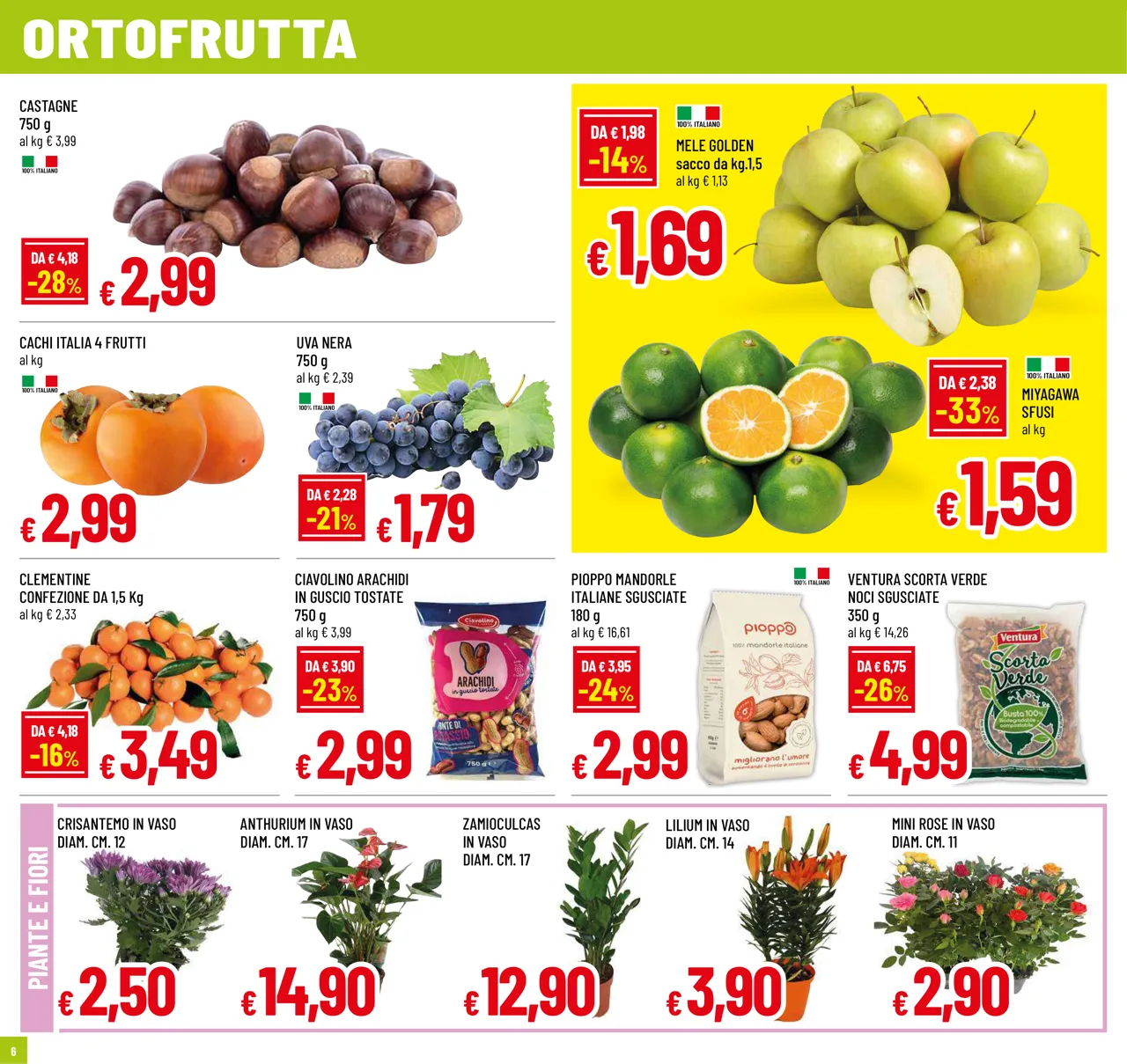 Pagina 6