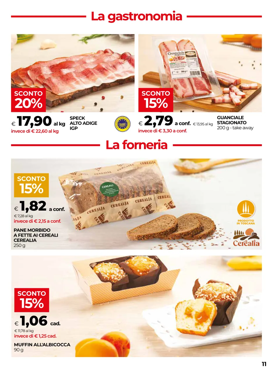 Pagina 11