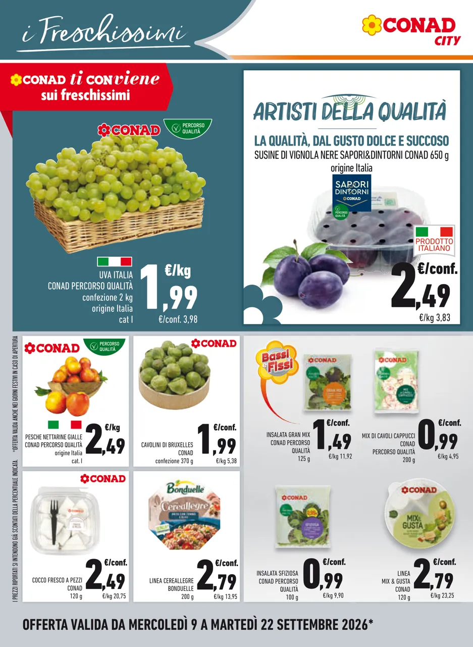 Pagina 14