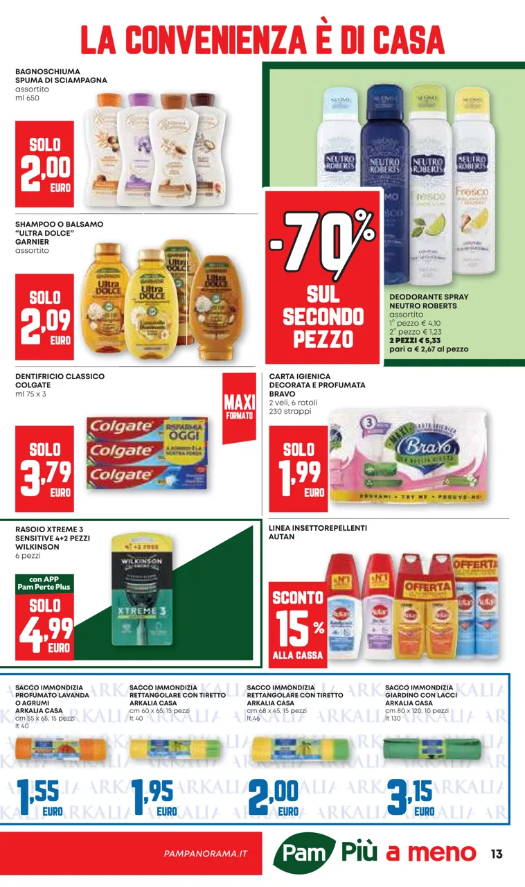 Pagina 13