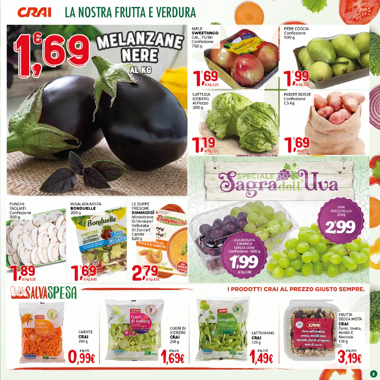 Pagina 3