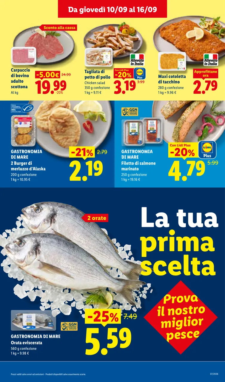 Pagina 7