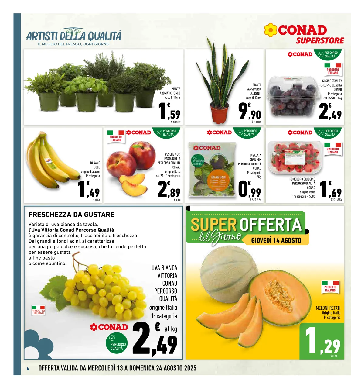 Pagina 4