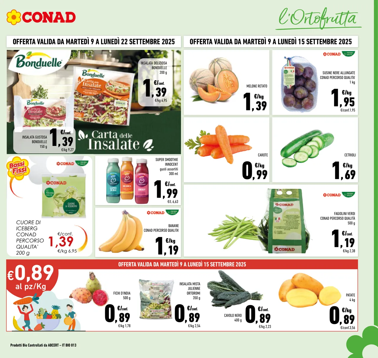 Pagina 3