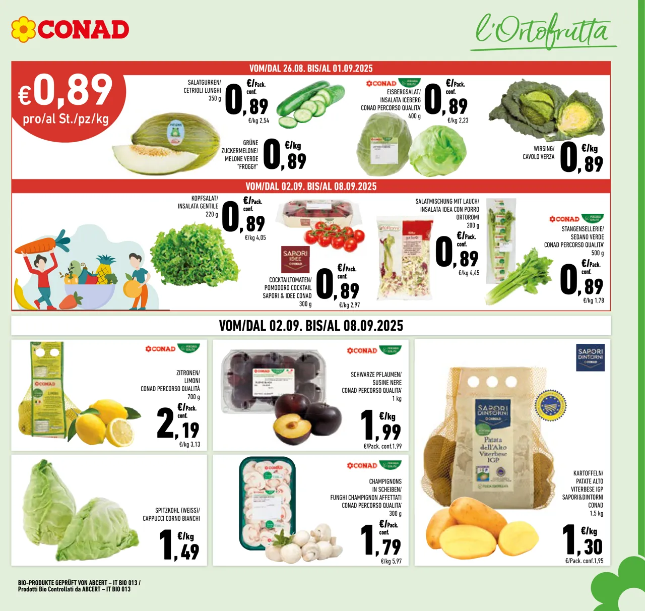 Pagina 3