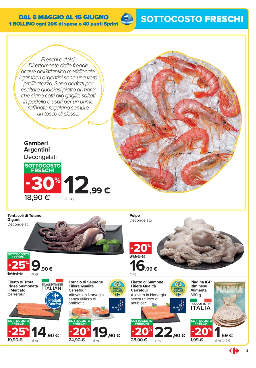 Pagina 3