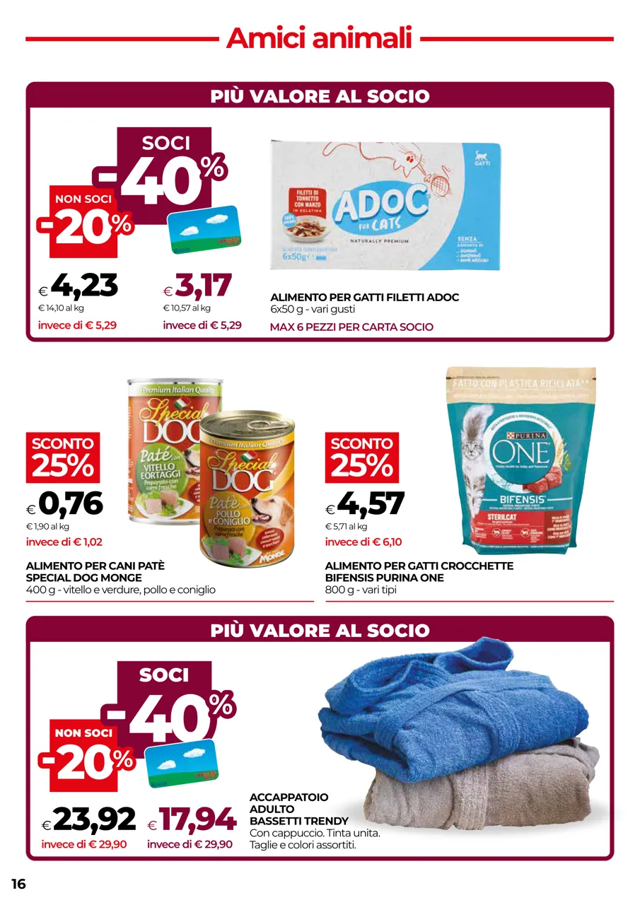 Pagina 16