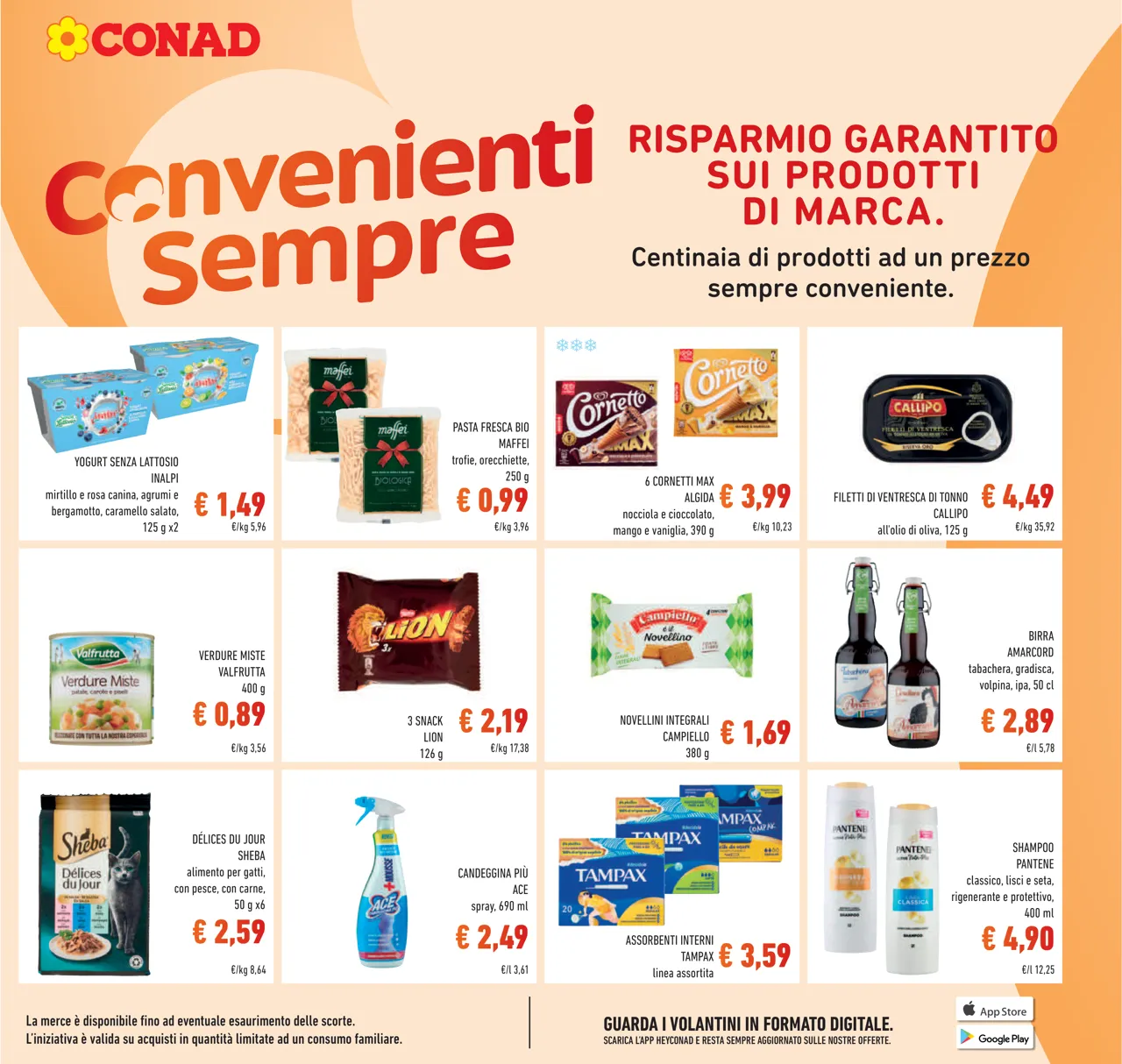 Pagina 11