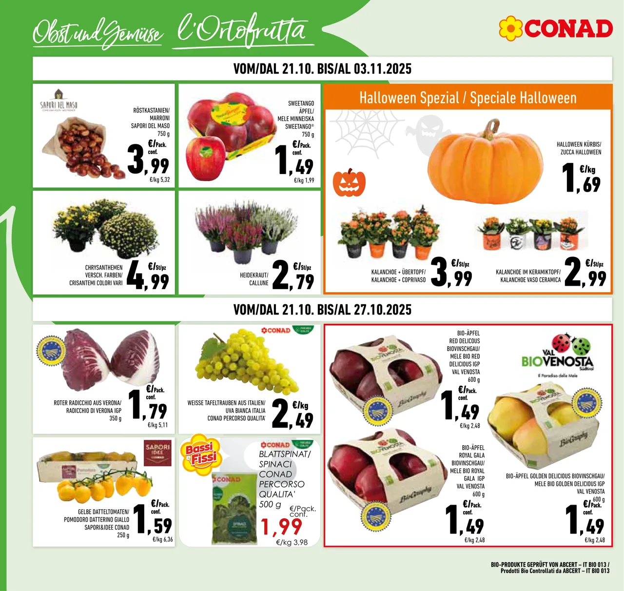 Pagina 4