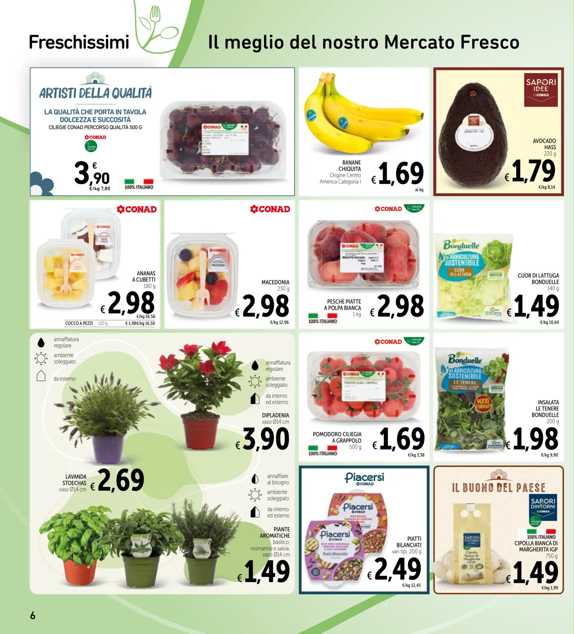 Pagina 6