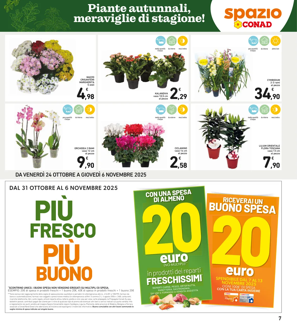 Pagina 7