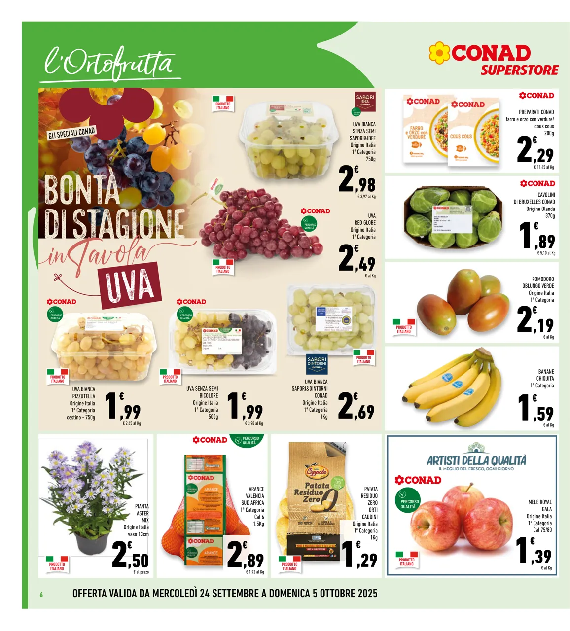 Pagina 6