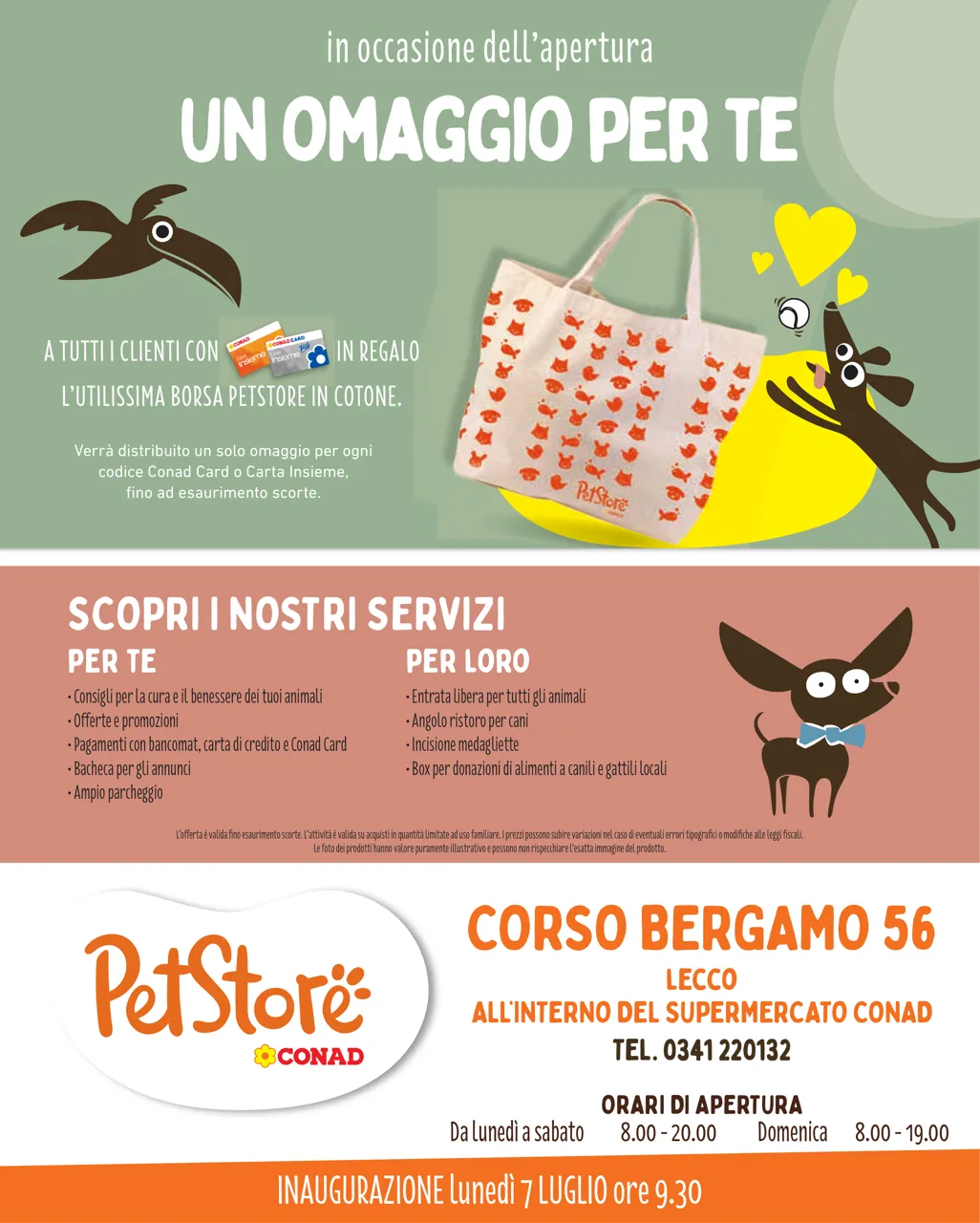 Pagina 8