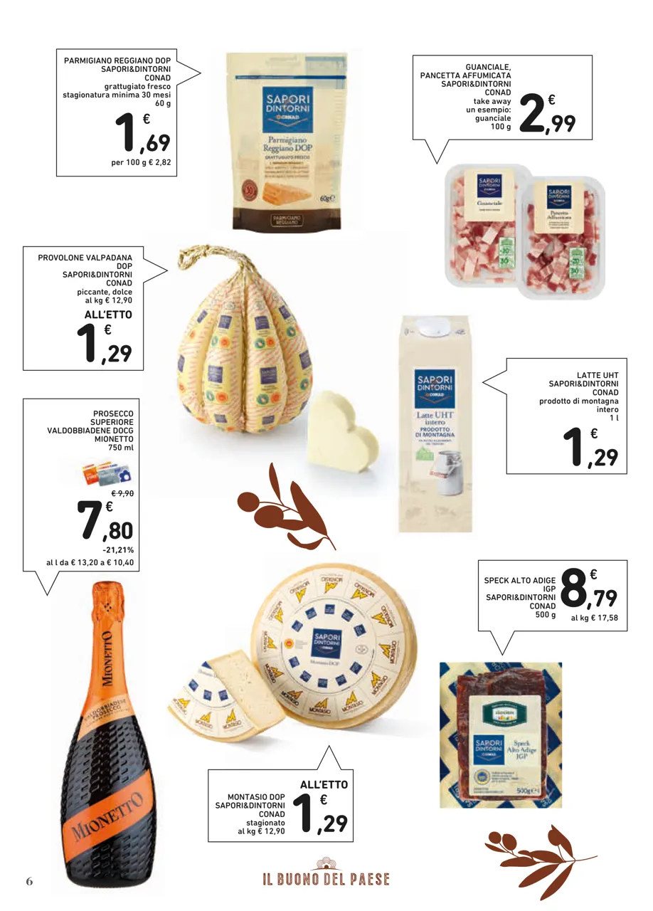 Pagina 6