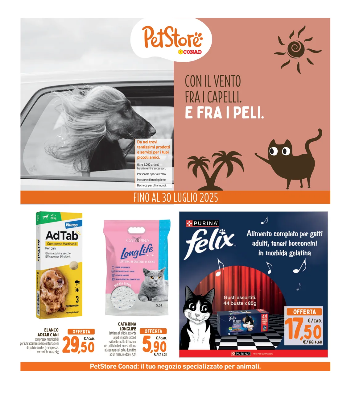 Pagina 25
