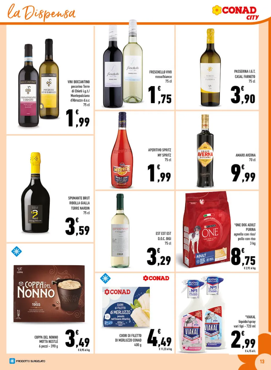 Pagina 13