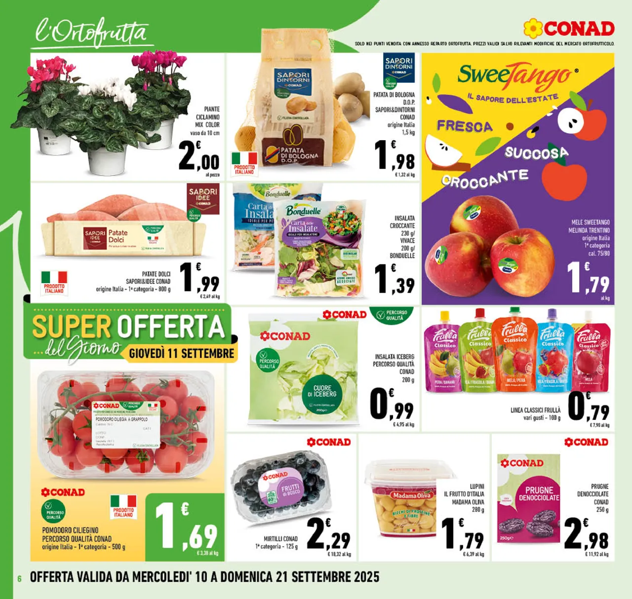 Pagina 6