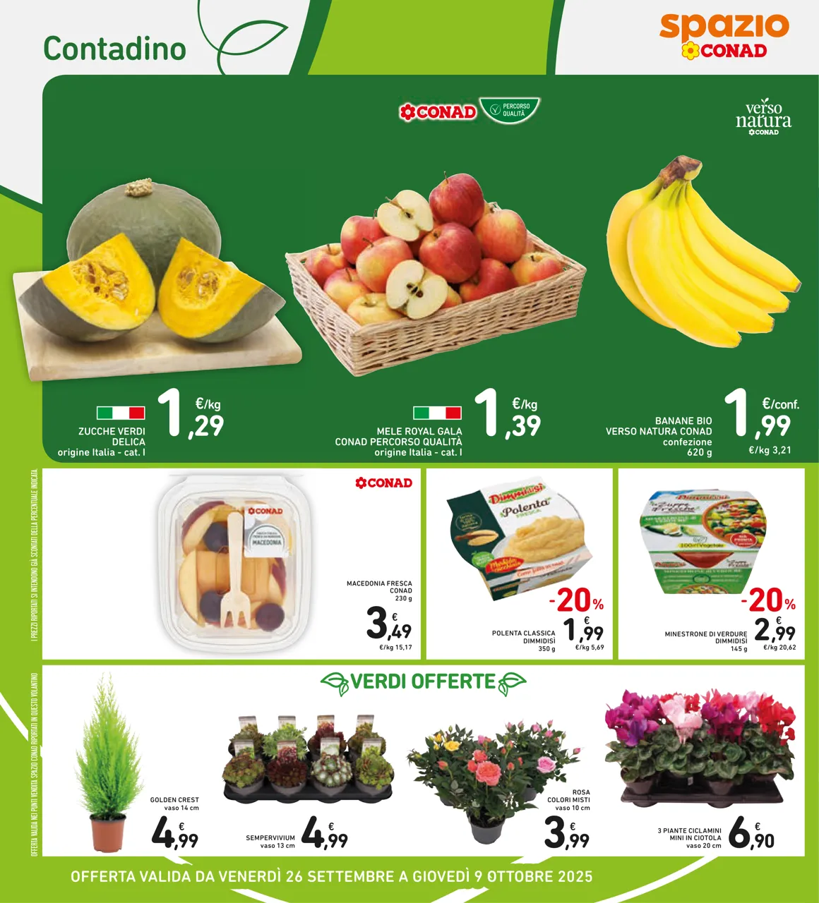Pagina 6