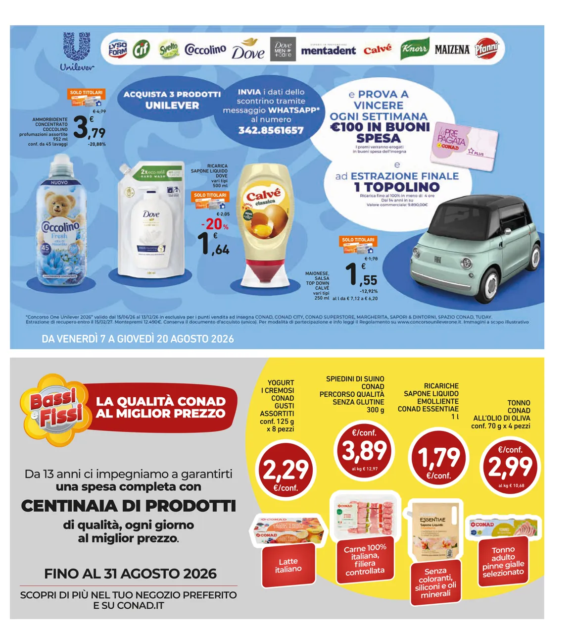 Pagina 31
