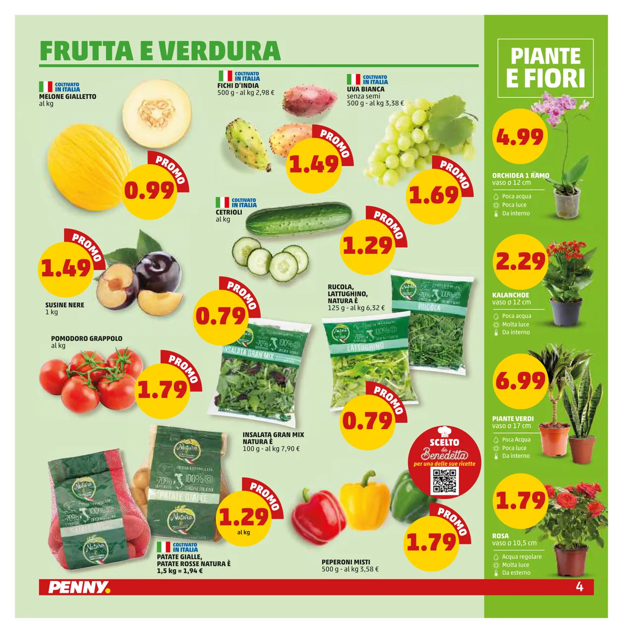 Pagina 4