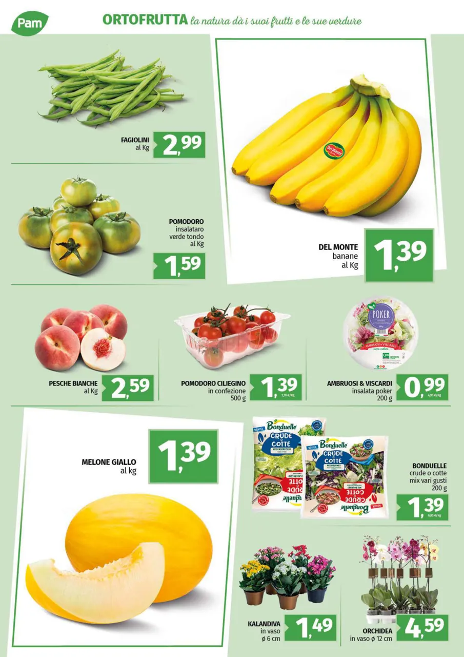 Pagina 10