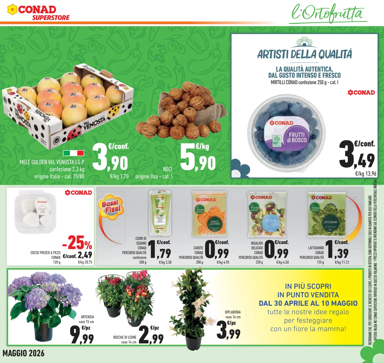 Pagina 11