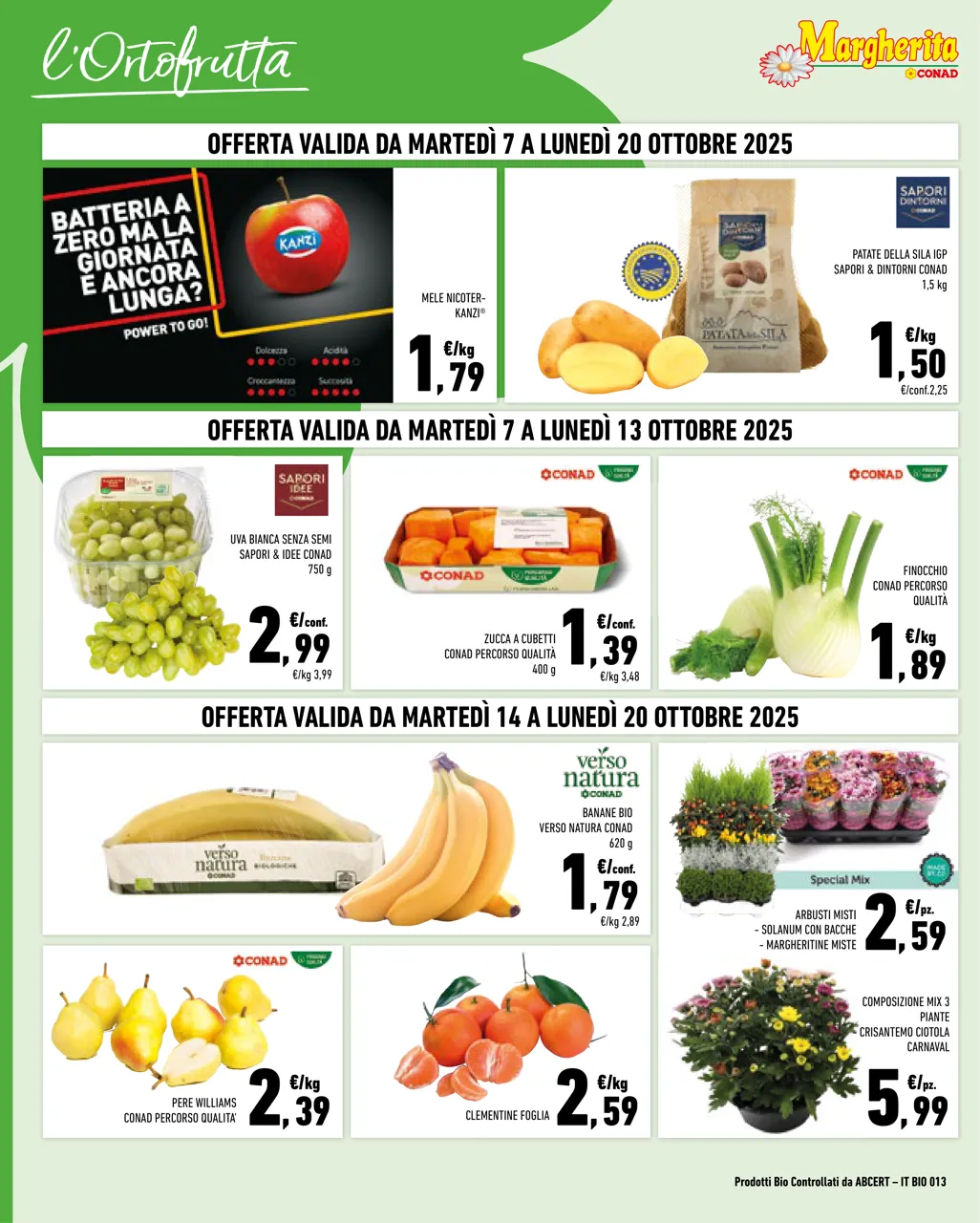 Pagina 2