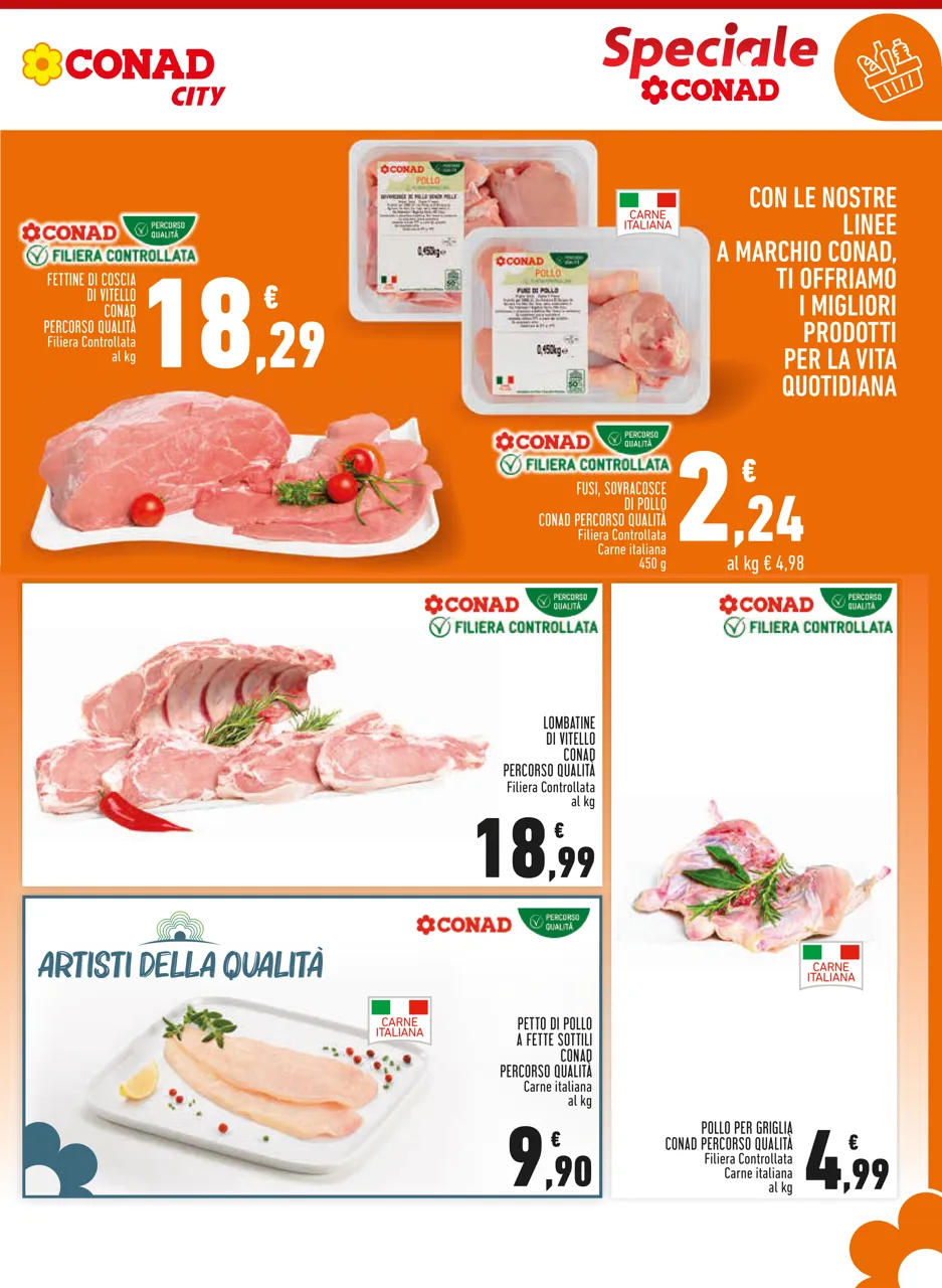 Pagina 3