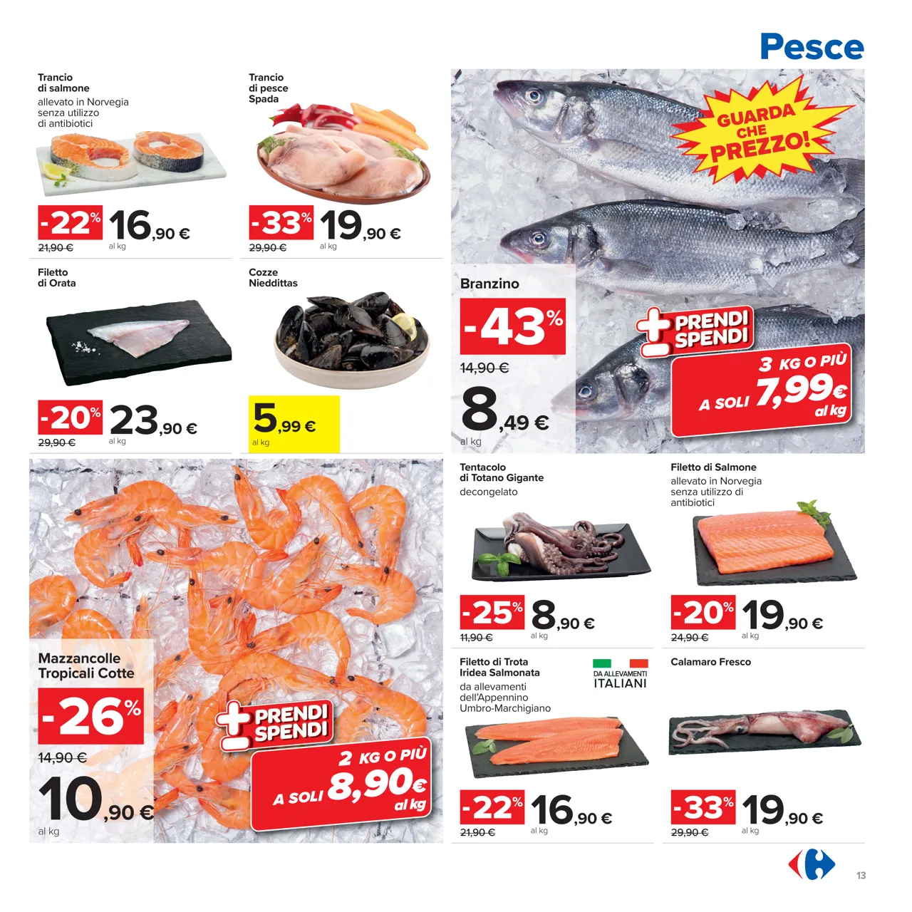 Pagina 13